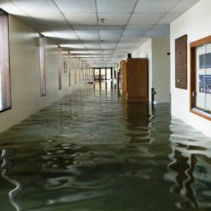Top Benefits For Hiring Professional Water Damage Company