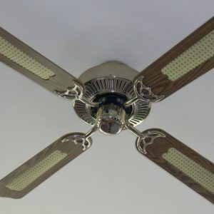 fan