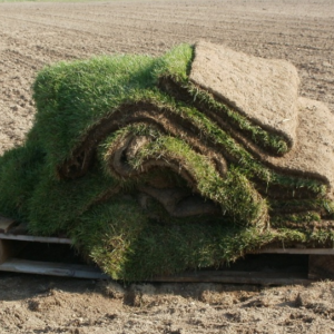 Advantages of Sod
